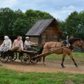 Horse-drawn carriage ride