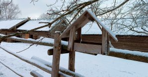 Museum Hours on December 31, 2025 and January 1, 2026